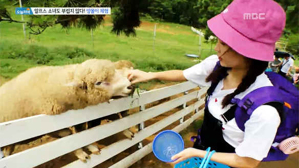1.뼈가 되고 살이 되는 음식<br>
2.안심 수산물 고르는 법<br>
3.연 매출 6억 원 청년, 주부를 사로잡다 <br>
4.이국의 정취가 물씬! 남해로 떠나는 세계여행!