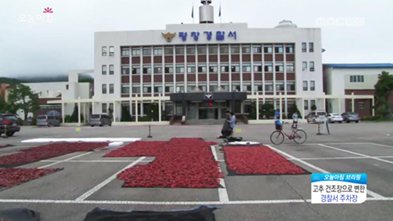 플레이어