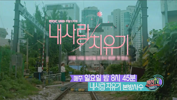 시청자들을 힐링 시켜 줄 <내 사랑 치유기> 섹션TV에 소개! 클립