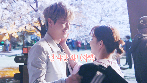 박력 터지는 벚꽃 데이트 현장 <생생현장> 클립