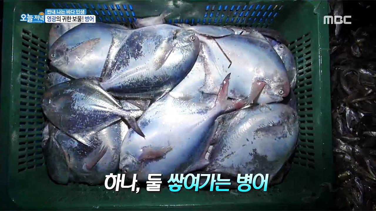 3.내 손으로 캔 약초밥상 4.복덩이 보어염소, 인생 2막을 열다! 5.가자! 4차 산업혁명 | 852회 | 오늘N | 만나면 좋은 친구 MBC 오늘N | 만나면... 