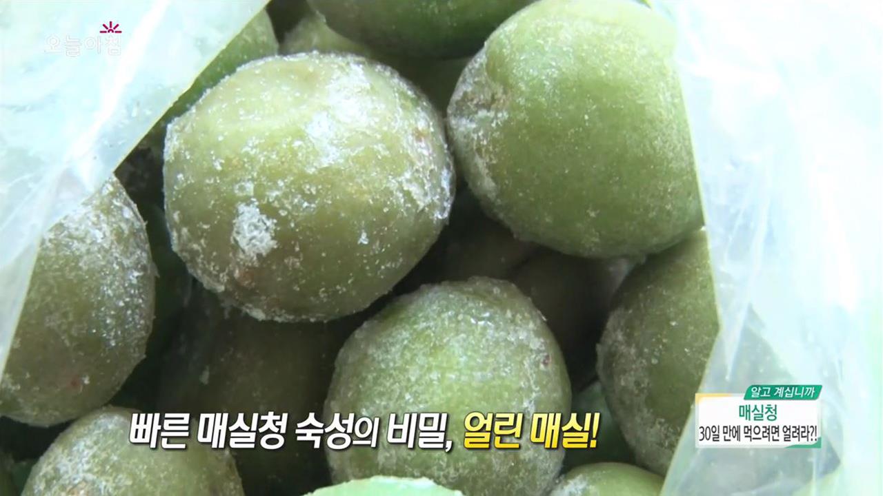 1.장기 손상되고 앙상해진 38kg 아버지, 이유는? 2.매실청, 30일 만에 먹으려면 얼려라?! 3.환자 시신 바다에 버린 의사, 왜? 4.집 안에서 나온... 