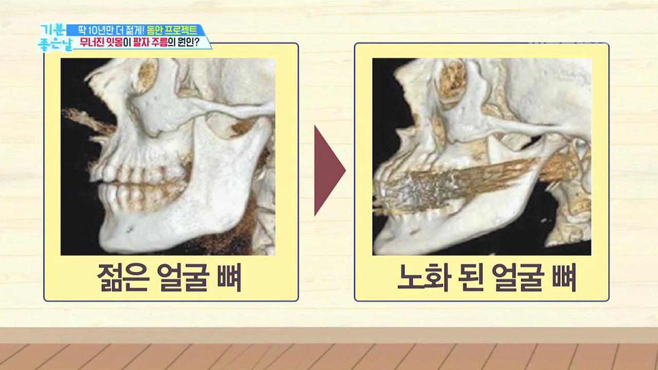 플레이어