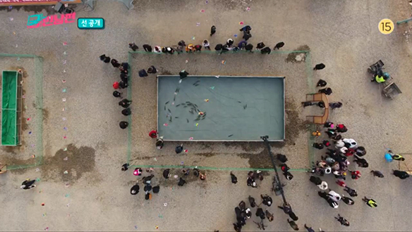[15회 선공개] 저녁 식사가 걸린 송어와의 혈투! 클립