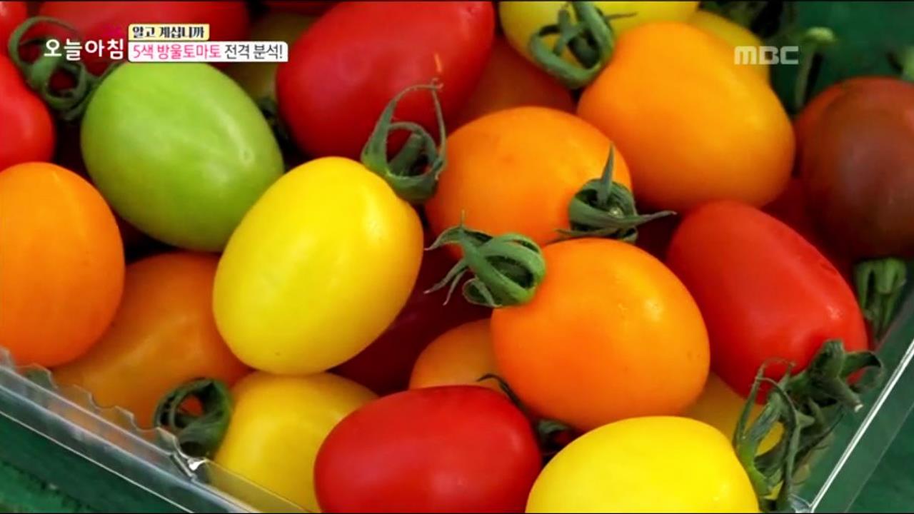 플레이어