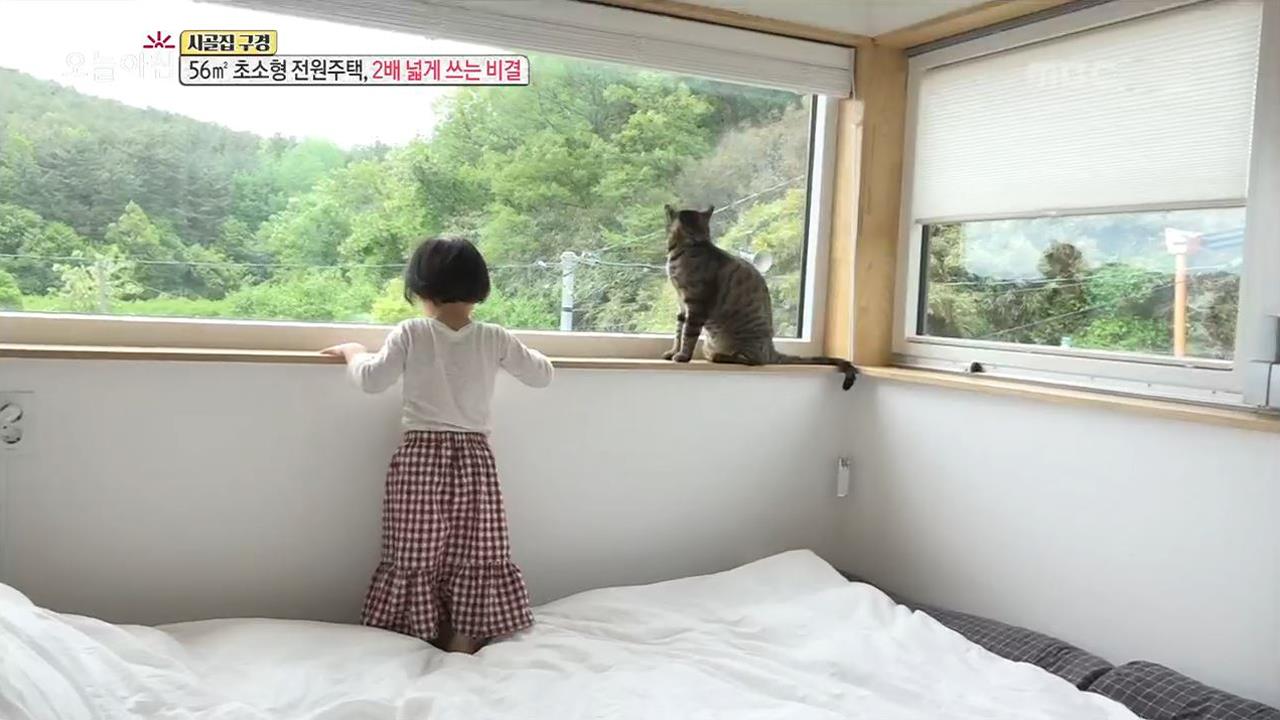 칼국수 맛 살린 겉절이, 비결은 사과? 3. 56㎡ 초소형 전원주택, 2배 넓게 쓰는 비결 4. 매달리고 때리고 점프! 살 빼는 이색 운동 5. 택배 오면... 