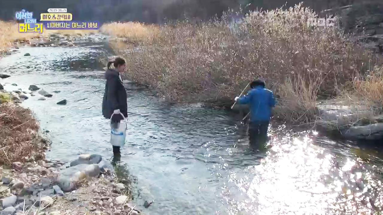 플레이어