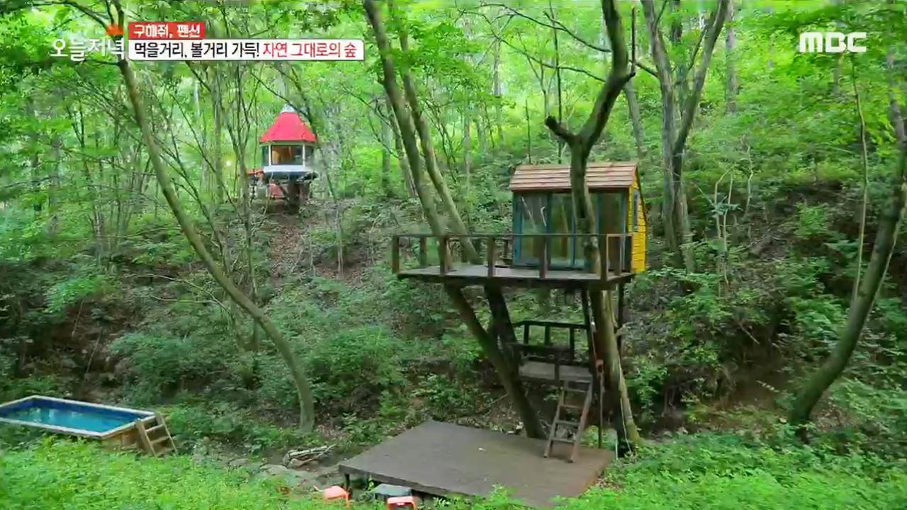 플레이어