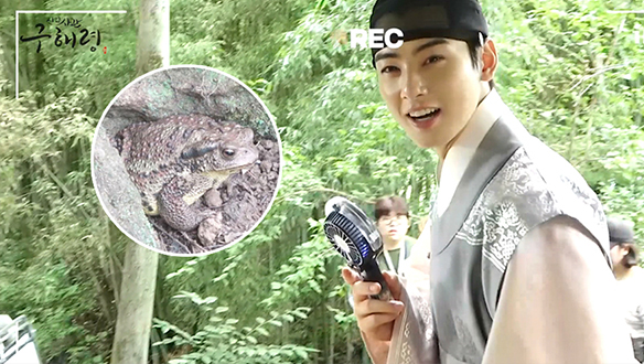 이림이의 녹서당 브이로그γ <생생현장> 클립