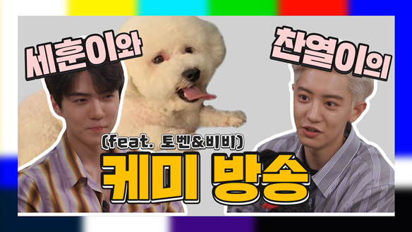 [기획영상] 엑소엘 뒤집어 놓은 세훈*찬열 케미방송 클립