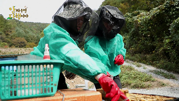 [선공개] 양봉장에서 벌 밥주기 클립
