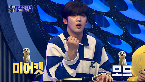 [선공개] 1라운드, 이은미 팀 파트너 찾기! '미어캣 모드' 가동 클립