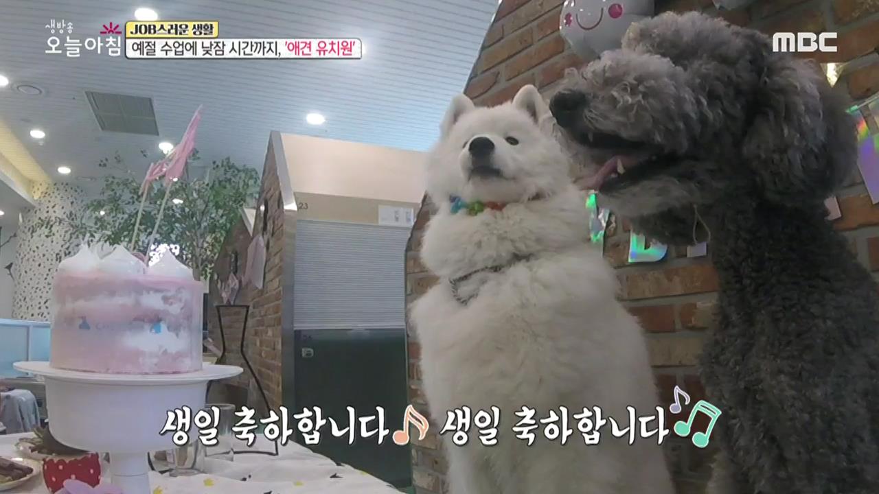 플레이어