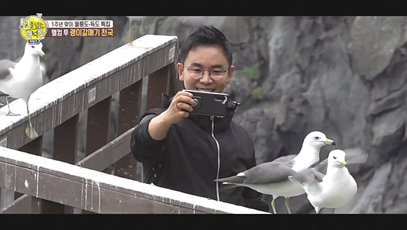 [선공개] 웰컴 투 괭이갈매기 천국! 울릉도·독도 탐사 클립