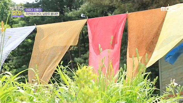 1. 어쩌다 취준생 - 2020 취준생, 창업 트랜드는?<br>2. 어쩌다 모퉁이 - 자연에서 논다 <경기도 남양주> <br>3. 어쩌다 인생 - 당신의 인생 제2막을 응원합니다