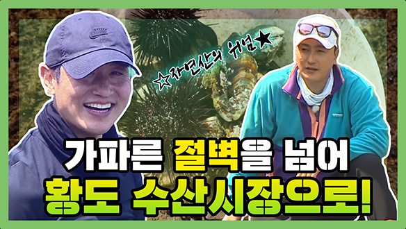 [기획영상] 가파른 절벽을 넘어 황도 수산시장으로! 클립