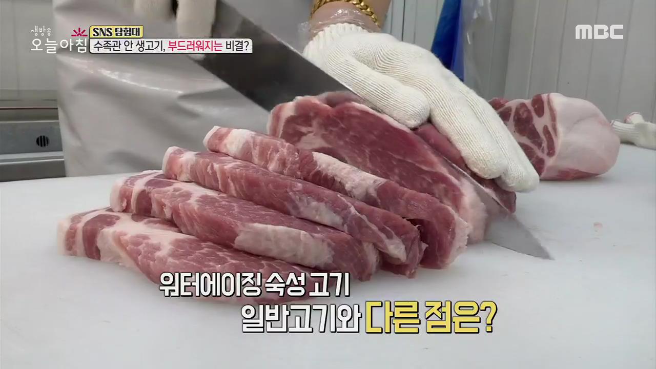 플레이어