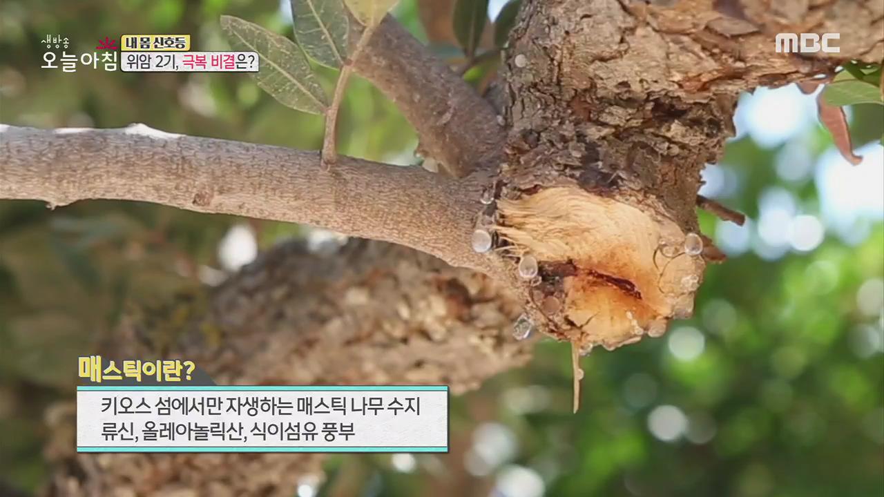 플레이어