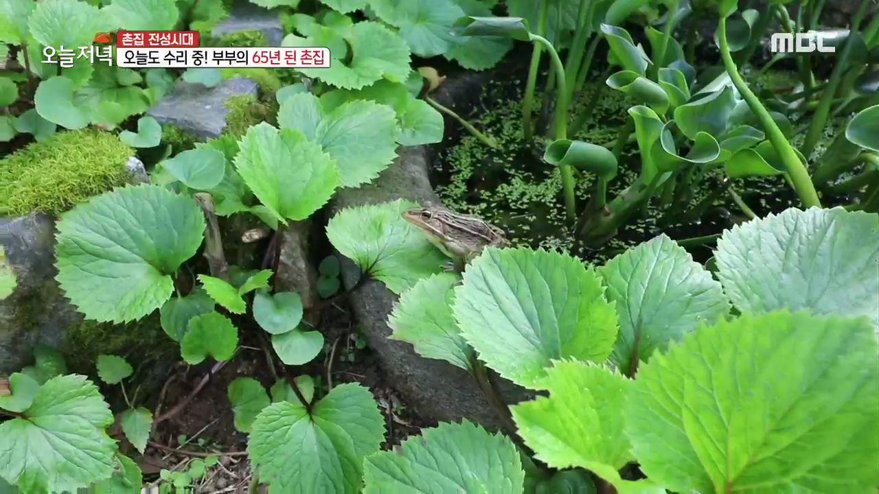 플레이어
