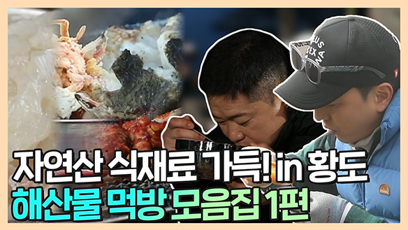 [기획영상] 황도 해산물 파티!🌊 자연산 해산물 먹방 모음집 1편 클립