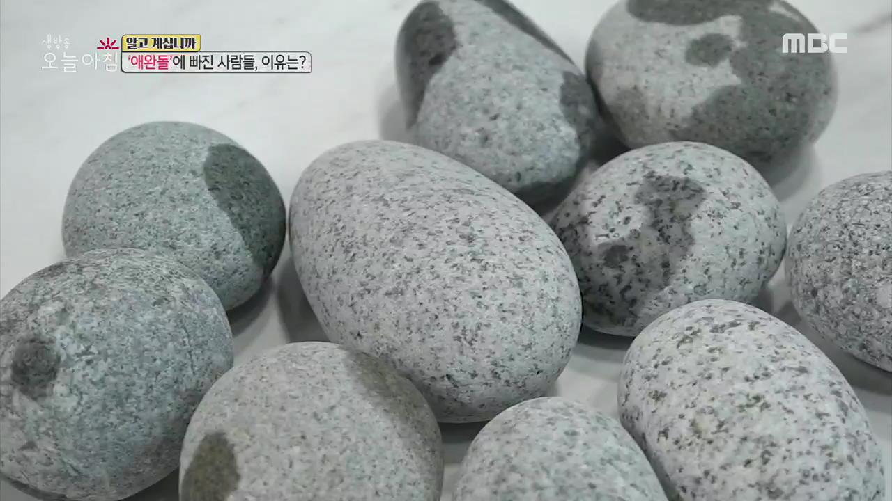플레이어