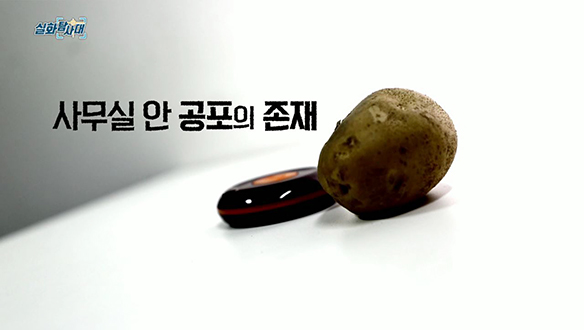 첫 번째 실화 [빨간 벽돌 오박사를 아시나요?]<br>두 번째 실화 [회장님의 갑질 왕국]