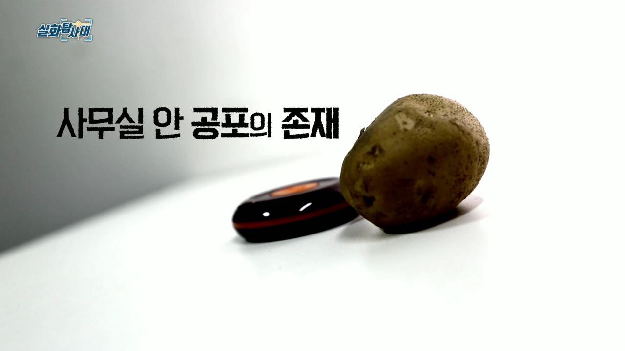 플레이어