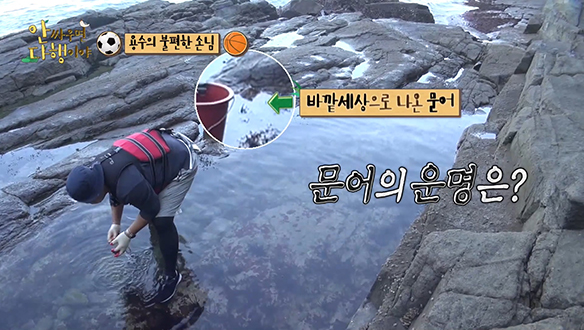 [선공개] 문어 잡은 최용수! 탈출 직전인 문어의 운명은?! 클립