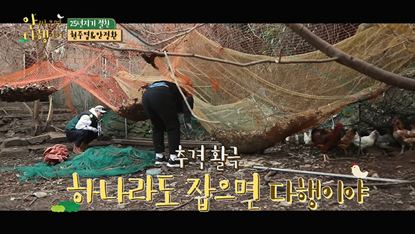 [선공개] '먹잘알' 현주엽과 '자연 만렙' 안정환의 닭 잡기 소동?! 클립