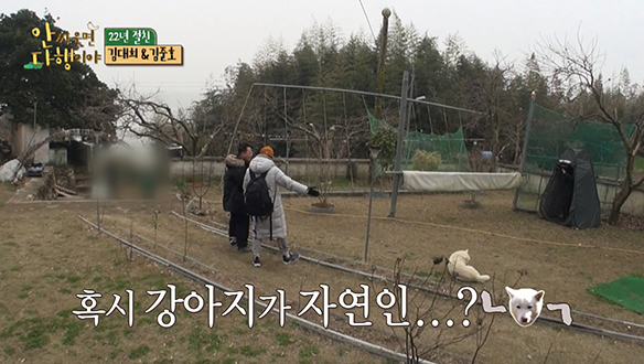 [선공개] 아무리 불러 봐도 대답 없는 자연인?! 멘붕에 빠진 김준호X김대희! 클립