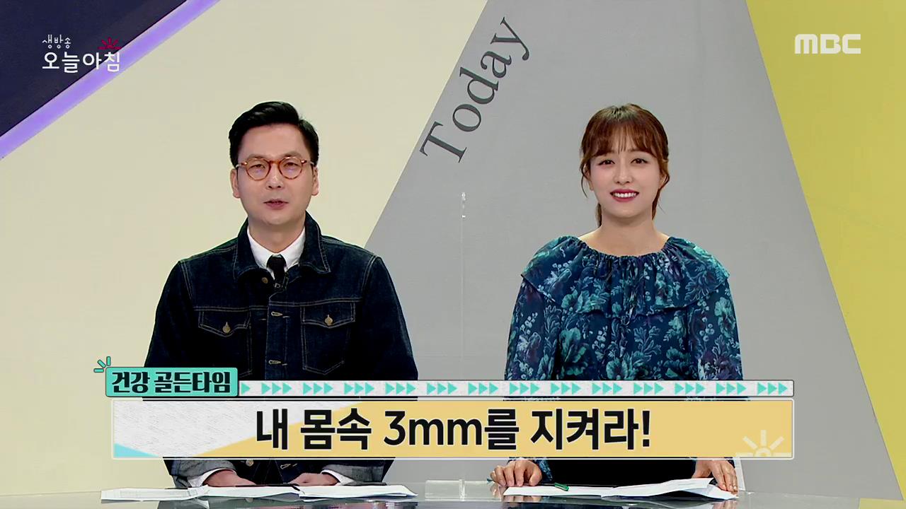 플레이어