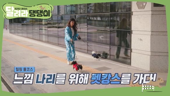봄맞이 힐링 DAY!