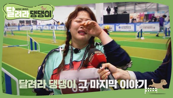 마지막회