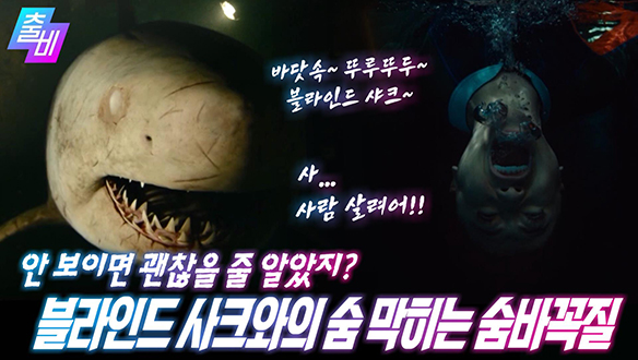 [기막힌이야기] 동굴 다이빙하려다 상어 입으로 다이빙하게 된 네 여자의 극한 서바이벌!, MBC 210509 방송 클립