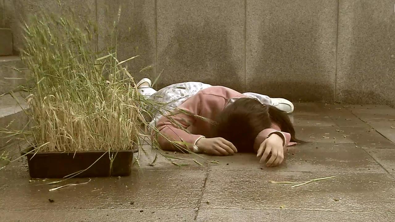 황금물고기 19회
