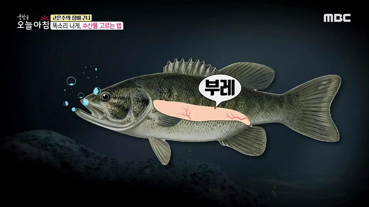 플레이어
