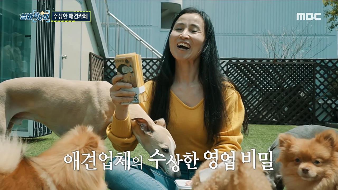 플레이어