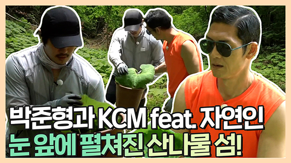 [기획영상] 박준형과 KCM의 지리산 산나물 채취하기! feat. 자연인 클립