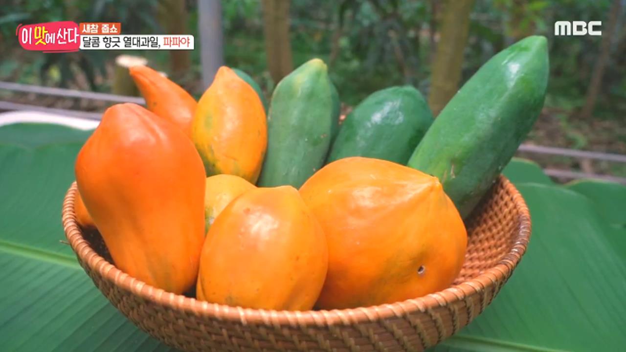 플레이어