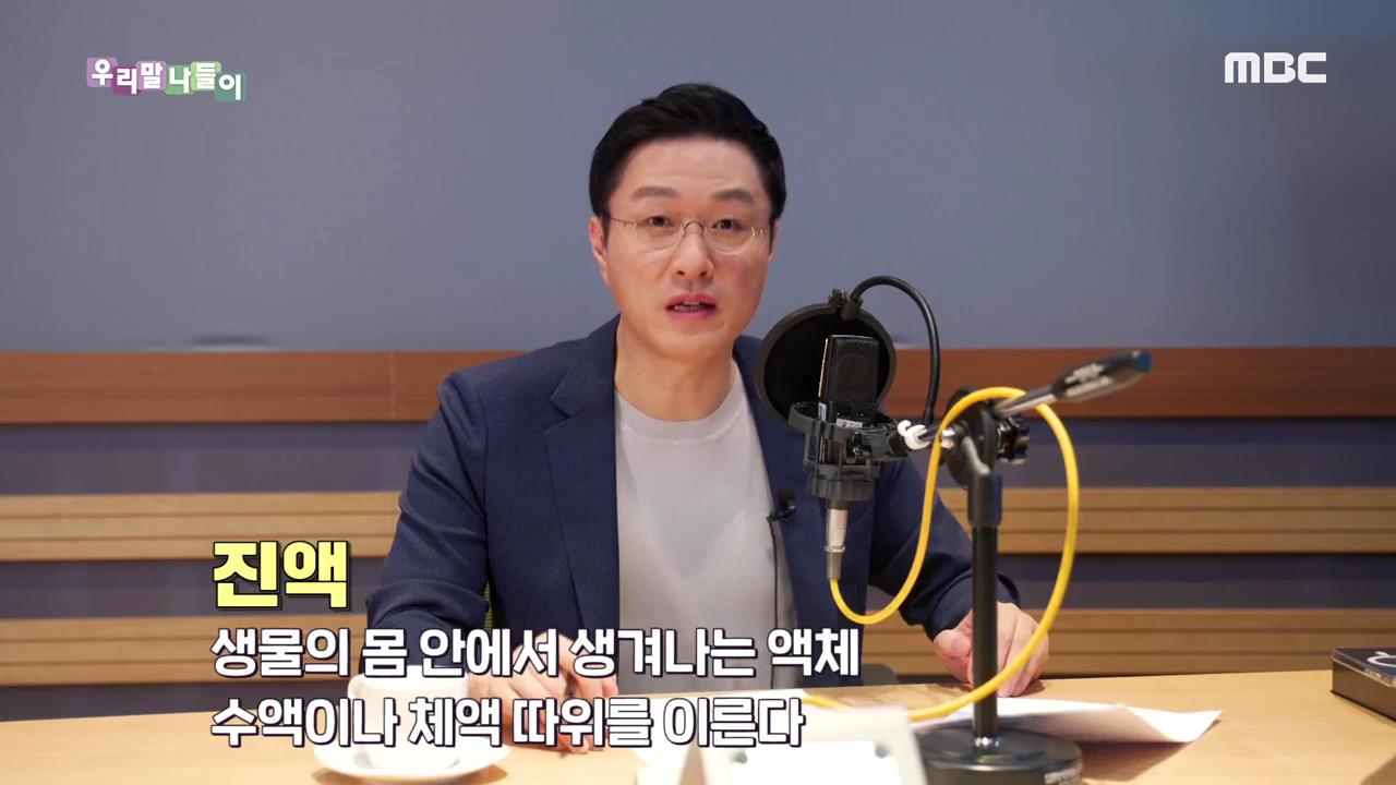 플레이어