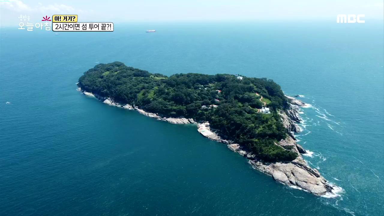 플레이어