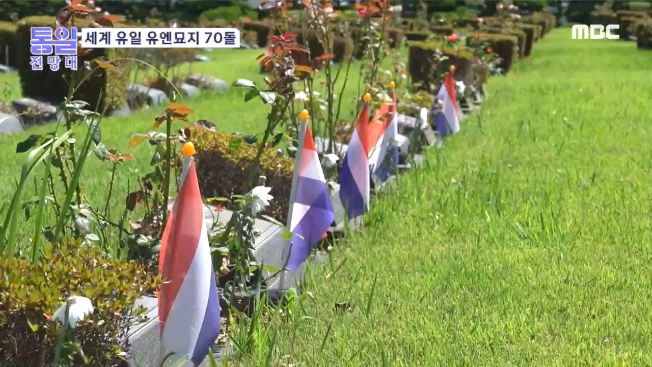 플레이어
