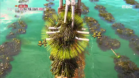 1. 여름 입맛 살리는 초계탕 한상<br>2. 바다에 사슴뿔이 있다? <br>3. 오감만족! 수제 식혜로 월 매출 4천5백만 원<br>4. 우리는 한 가족, 건명이네 농장