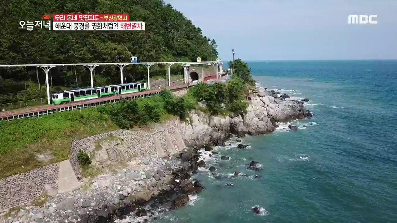 플레이어