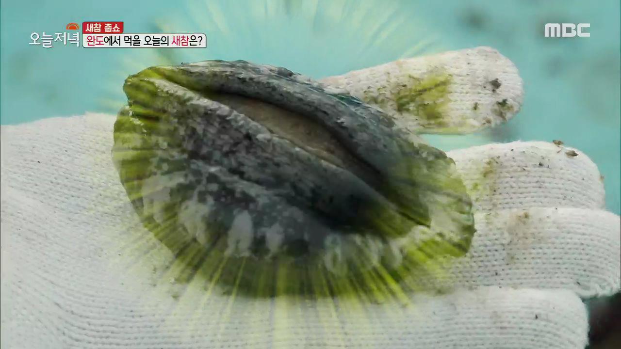 플레이어