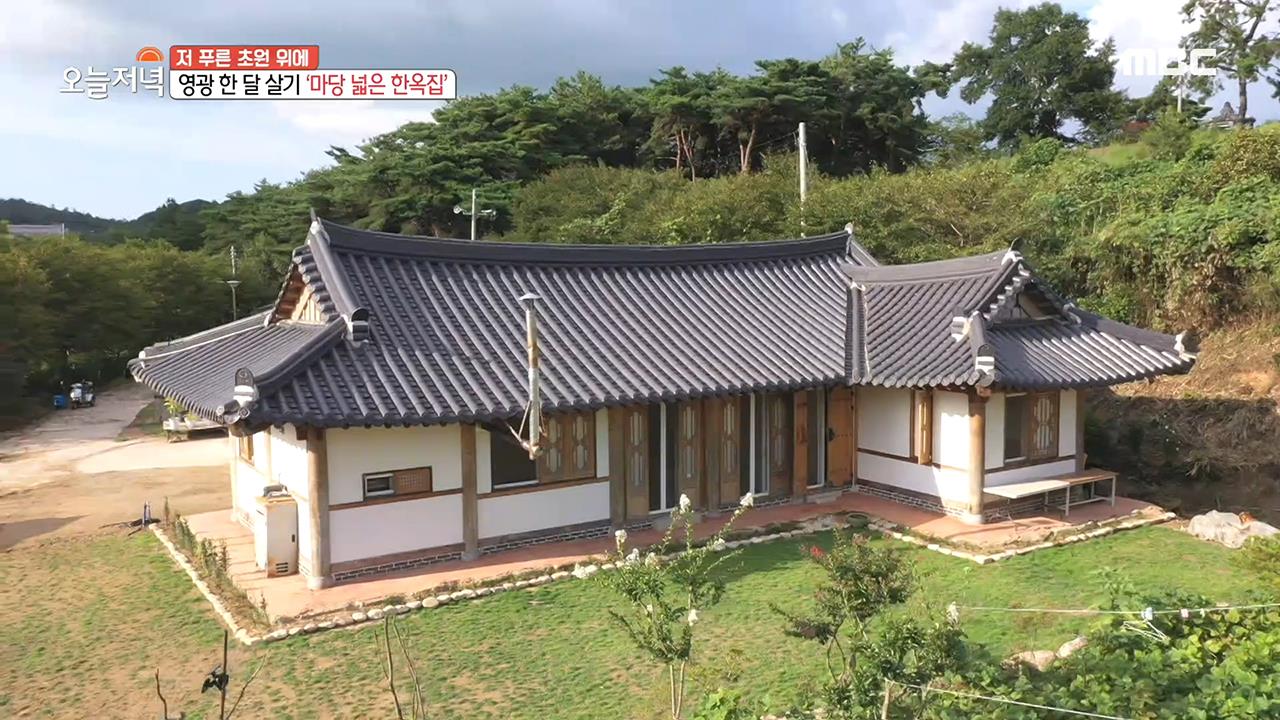 플레이어