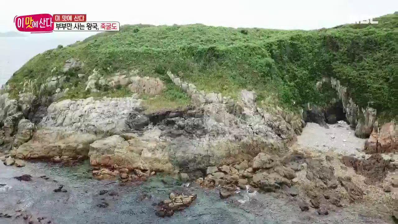 플레이어