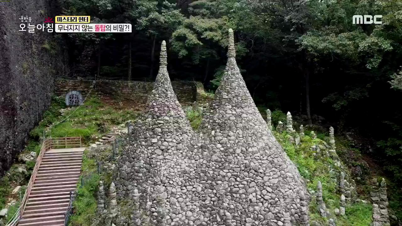 플레이어