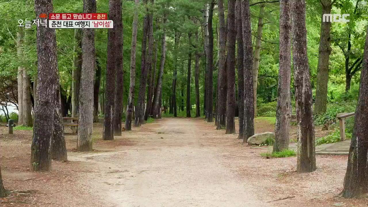 플레이어