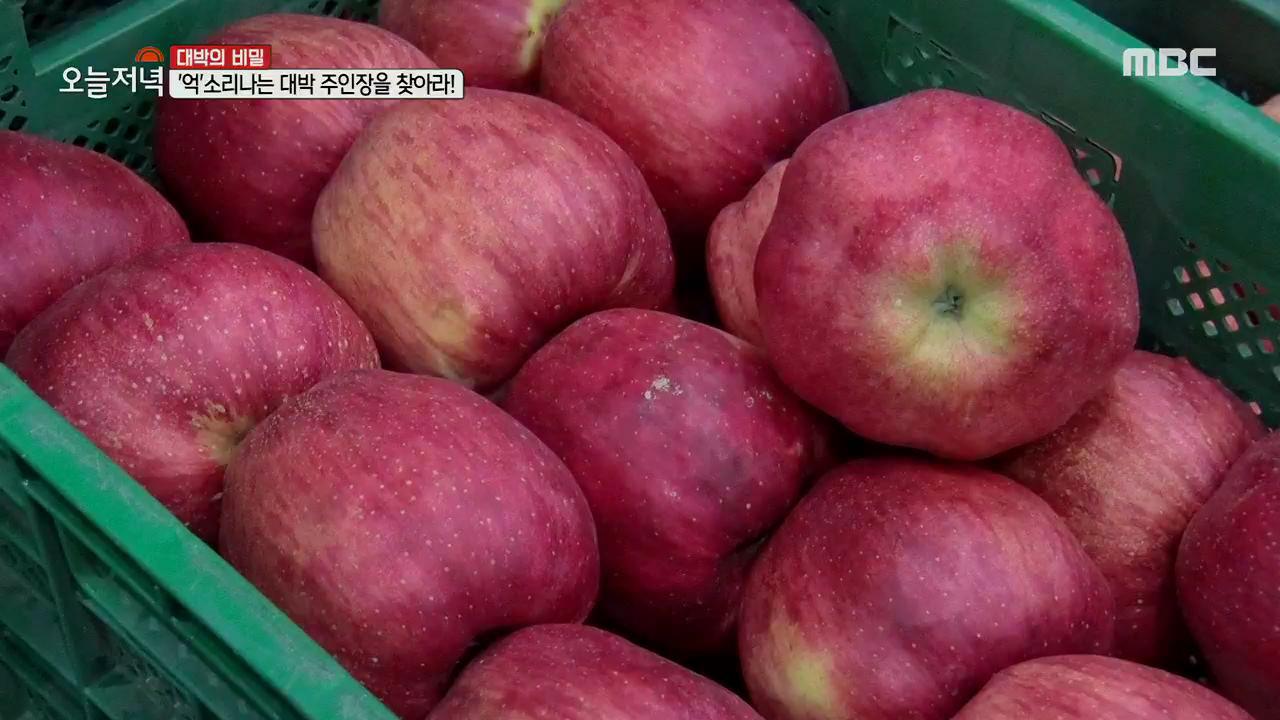 플레이어
